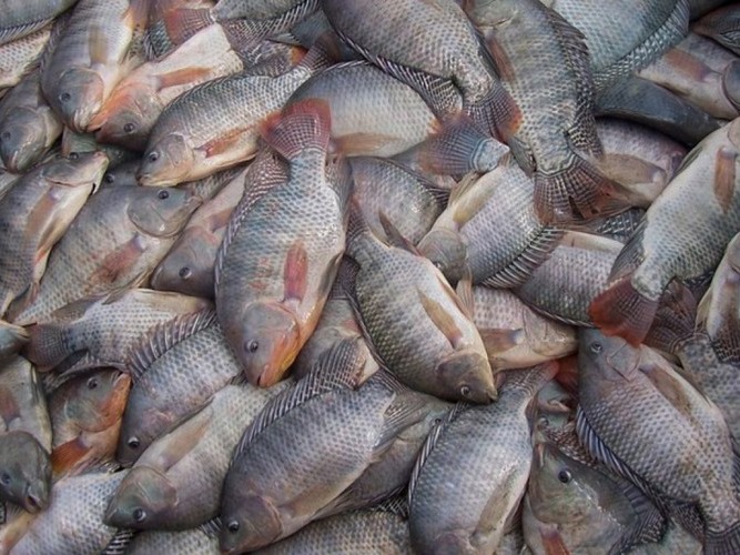 43981da2-37f7-468e-b228-2cf515c05e79